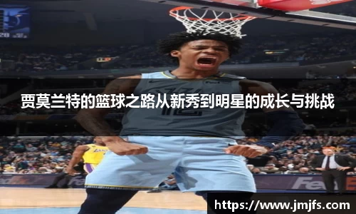 星空综合官网
