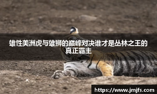 星空娱乐